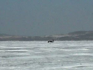 Безопасность на рыбалке. Ломает лёд.